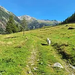 Zirnberg 3* Флаттах