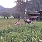 Zirnberg Флаттах