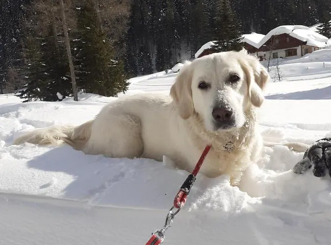 Zirnberg Aparthotel 3*