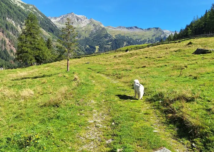 Zirnberg 3* Flattach